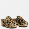 Rag & Co PRUNUS Leopard Buckled Suede Round Toe Mule Clogs